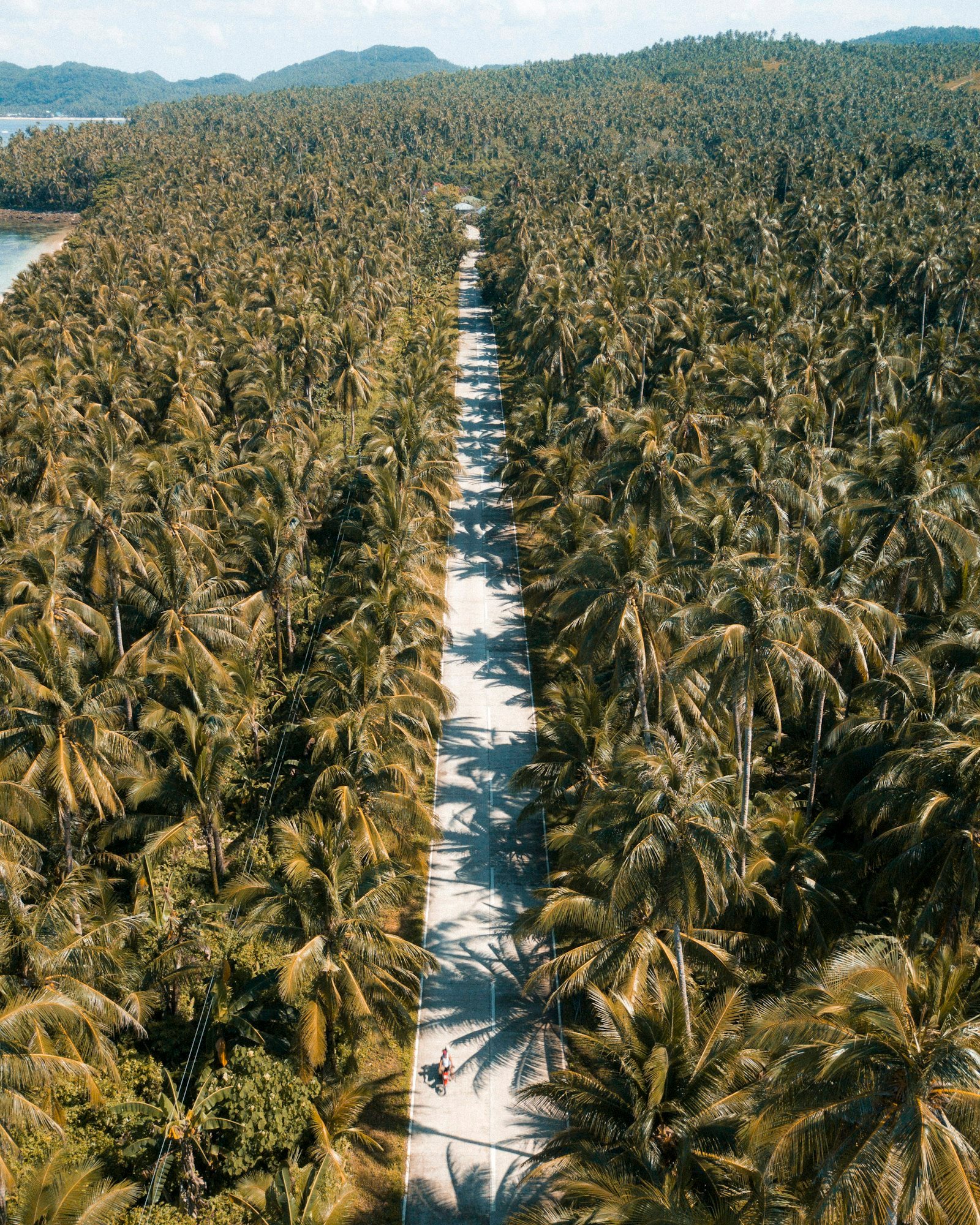 Palm-lined road in Siargao viewed from above